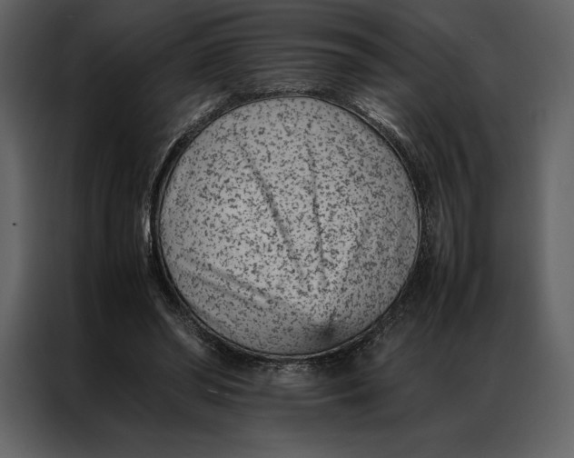 X0000086970398200705071401