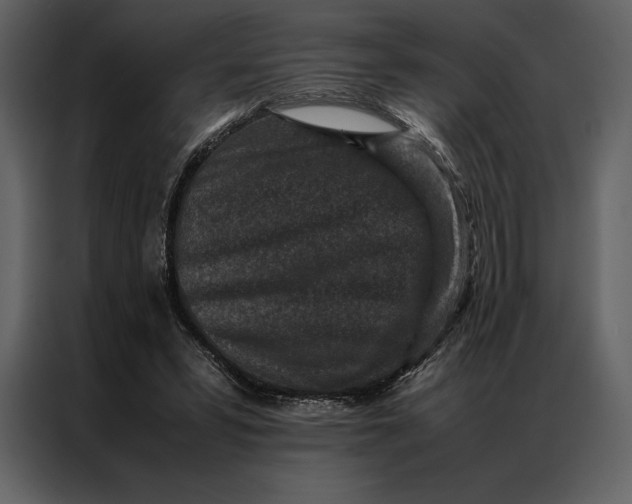 X0000086970399200705071401