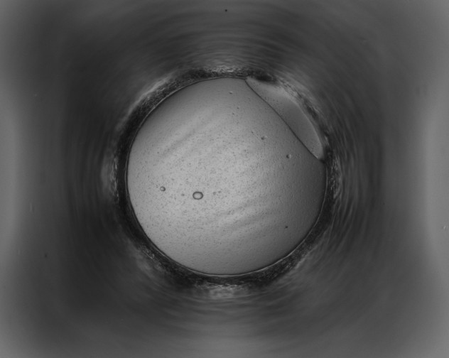 X0000086970400200705071401