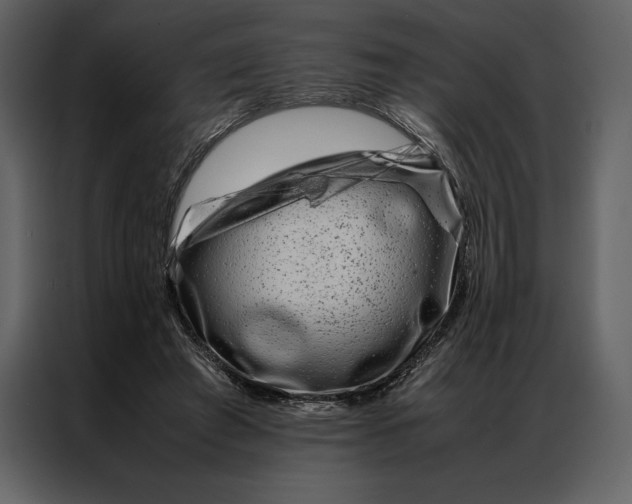 X0000086970401200705071401