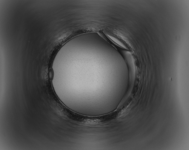 X0000086970403200705071401