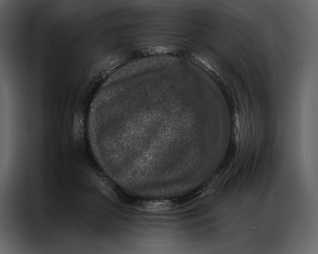 X0000086970410200705071401