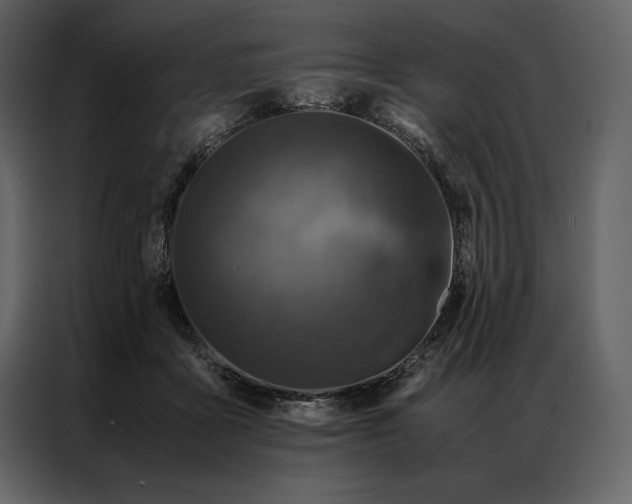 X0000086970411200705071401