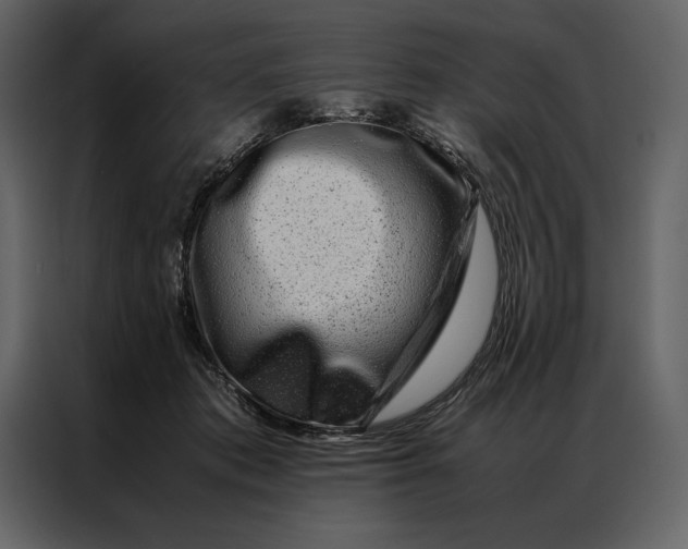 X0000086970413200705071401