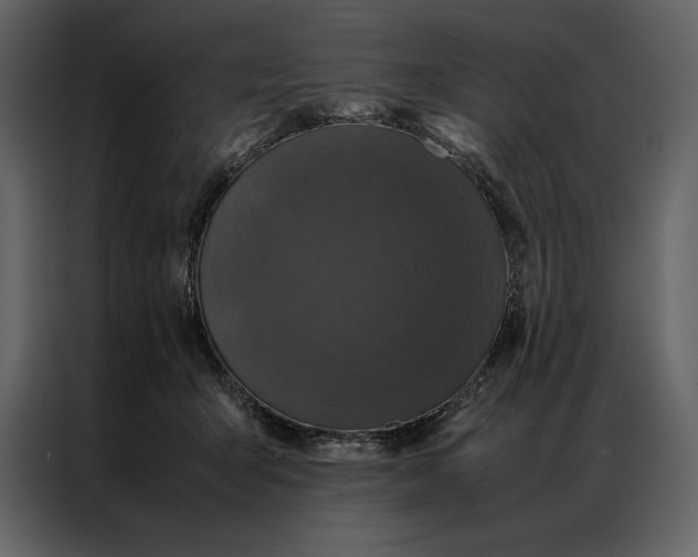 X0000086970415200705071401