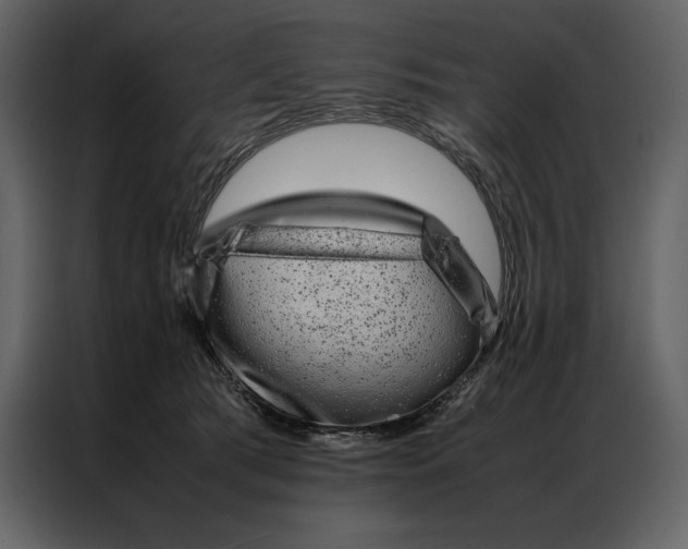 X0000086970417200705071401