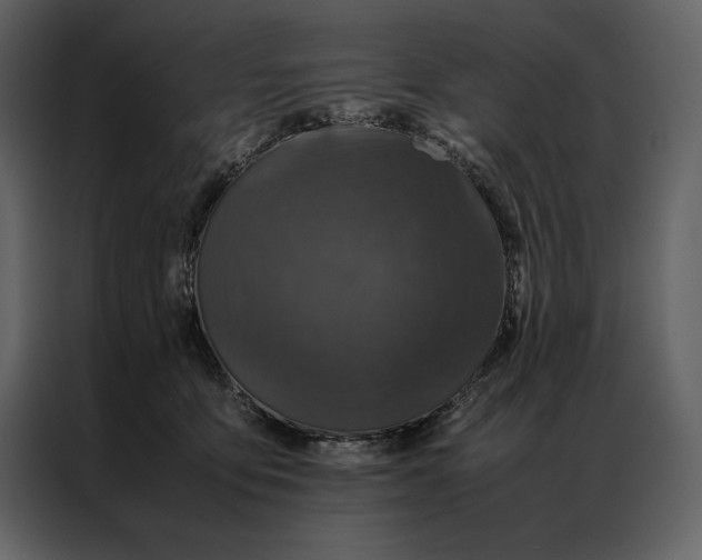 X0000086970419200705071400