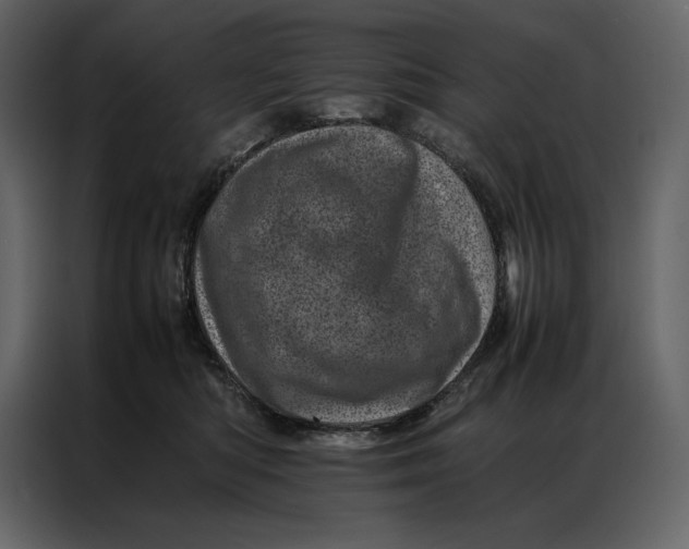 X0000086970422200705071400