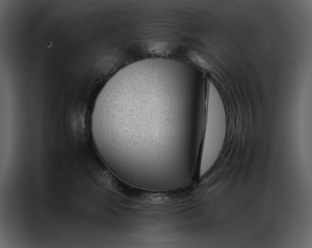 X0000086970424200705071400