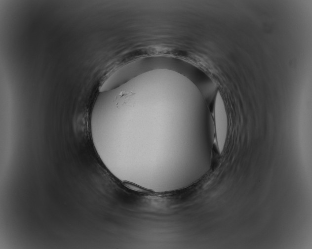 X0000086970425200705071400