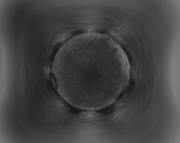 X0000086970427200705071400