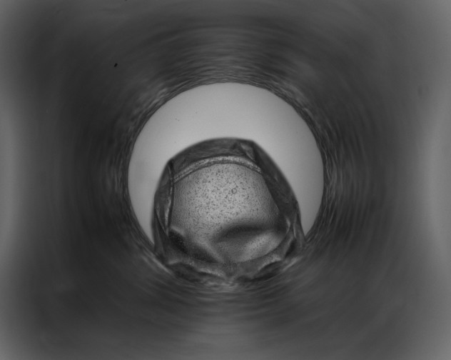 X0000086970428200705071400