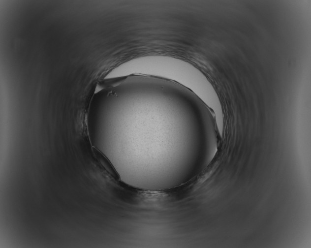 X0000086970429200705071400