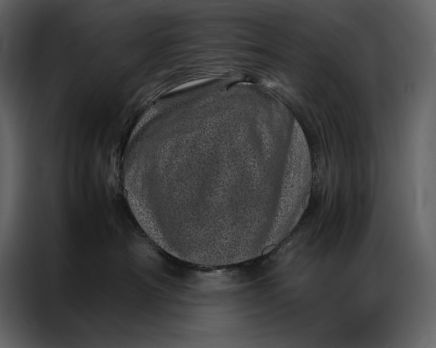 X0000086970430200705071400