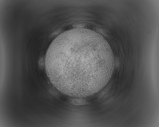 X0000086970431200705071400