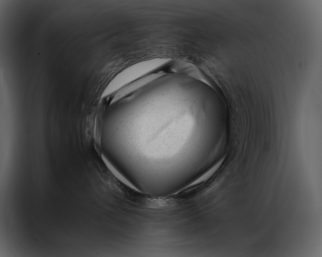 X0000086970432200705071400