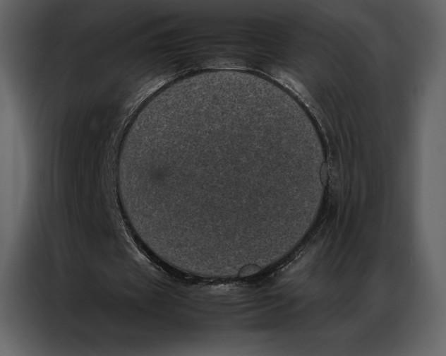 X0000086970433200705071400