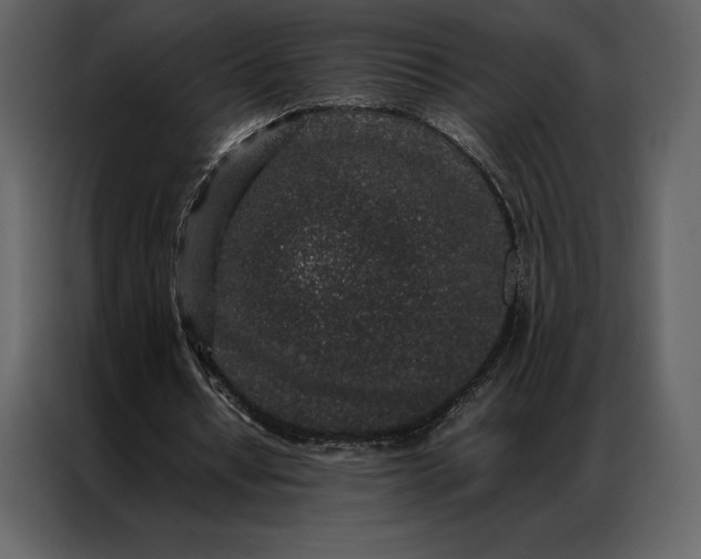 X0000086970434200705071400