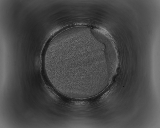 X0000086970439200705071400