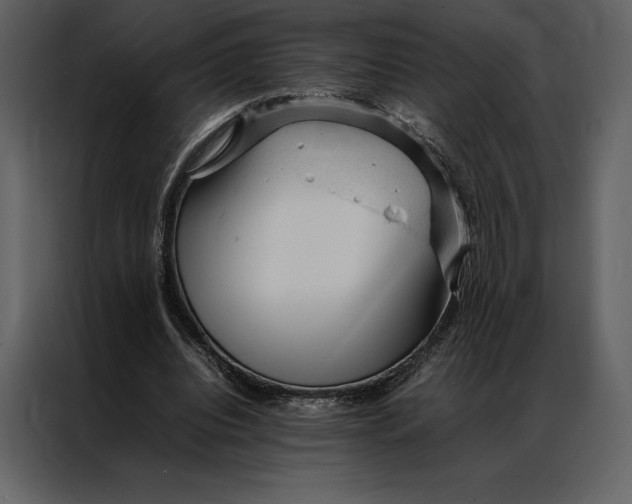 X0000086970440200705071400