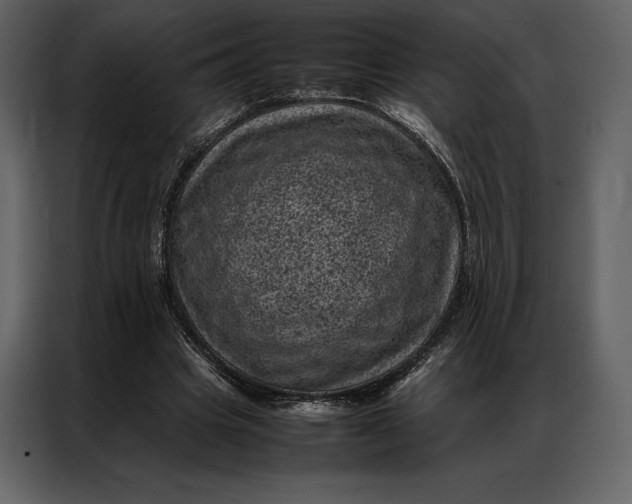 X0000086970441200705071400