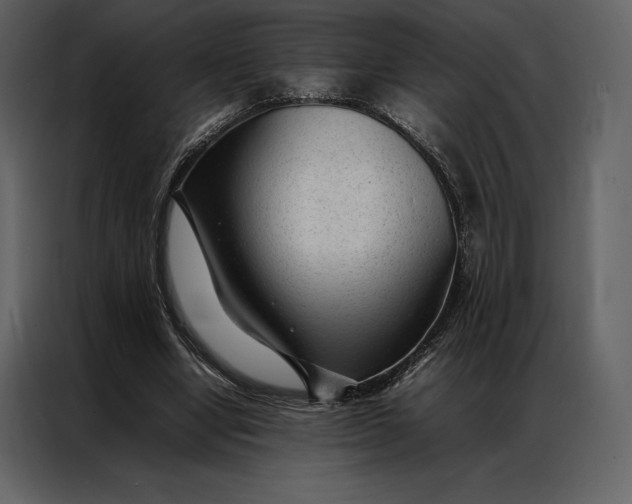 X0000086970442200705071400