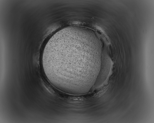 X0000086970443200705071400