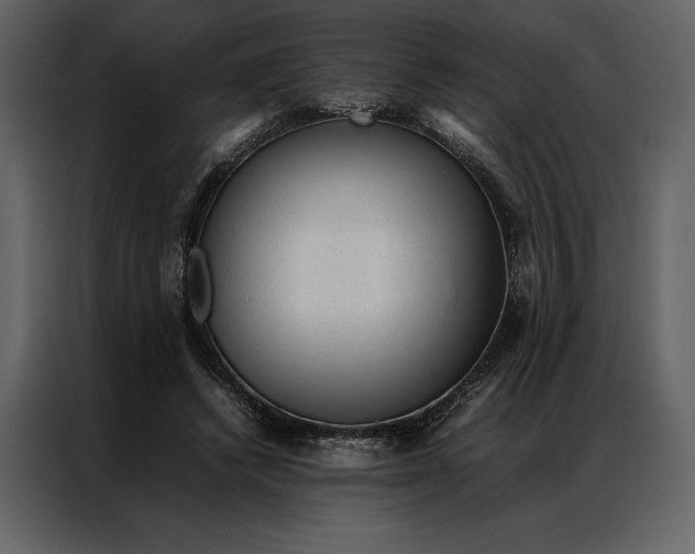 X0000086970448200705071400