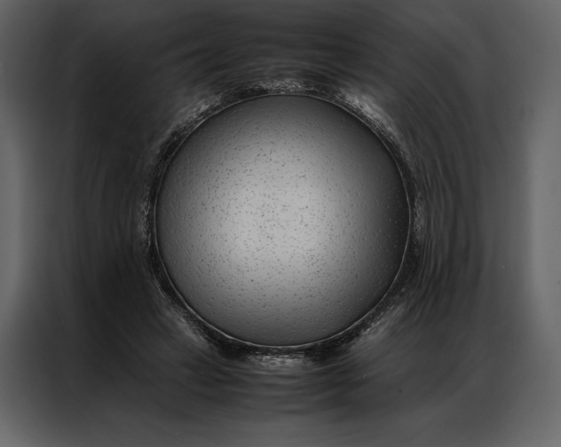 X0000086970449200705071400