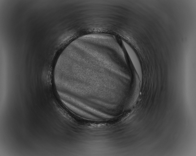 X0000086970450200705071400