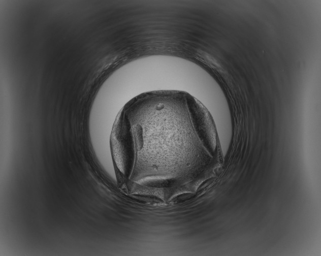 X0000086970452200705071400