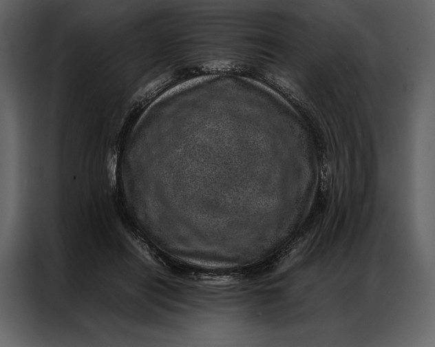 X0000086970454200705071400