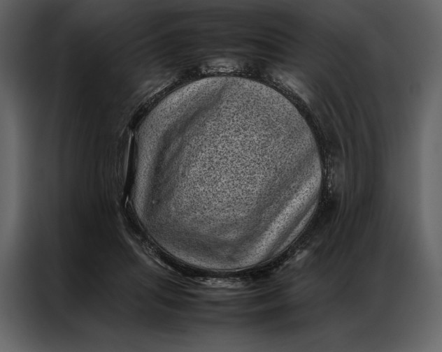 X0000086970455200705071400