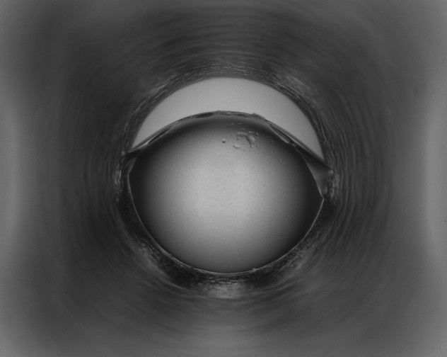 X0000086970456200705071400