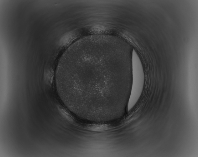 X0000086970458200705071400