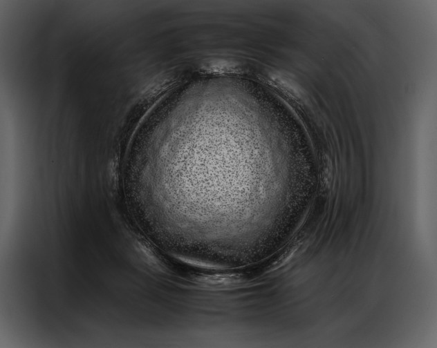 X0000086970461200705071400