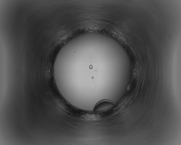 X0000086970464200705071400