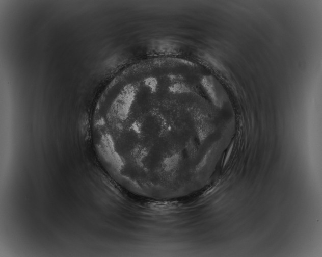 X0000086970465200705071400