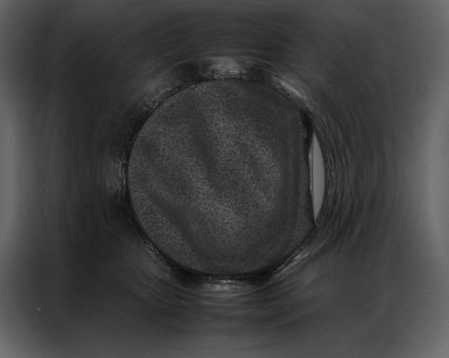 X0000086970467200705071400