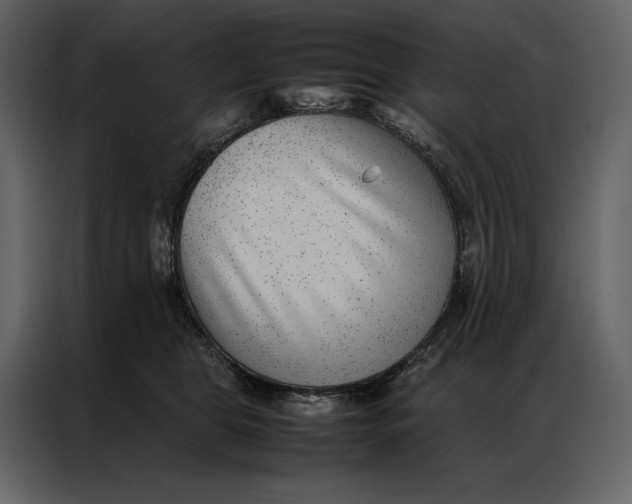 X0000086970469200705071400