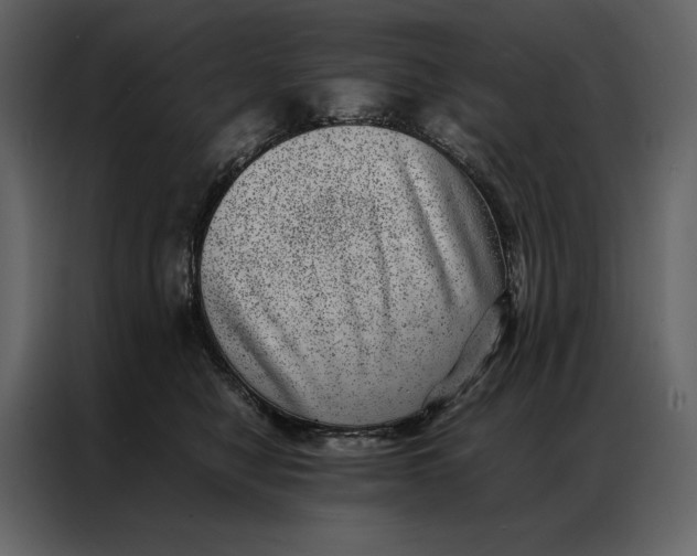 X0000086970470200705071400