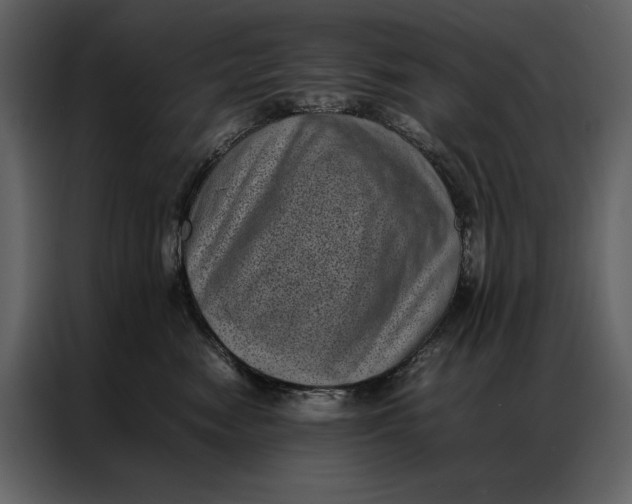 X0000086970474200705071400