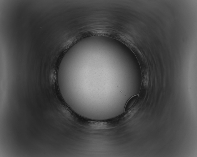 X0000086970476200705071400