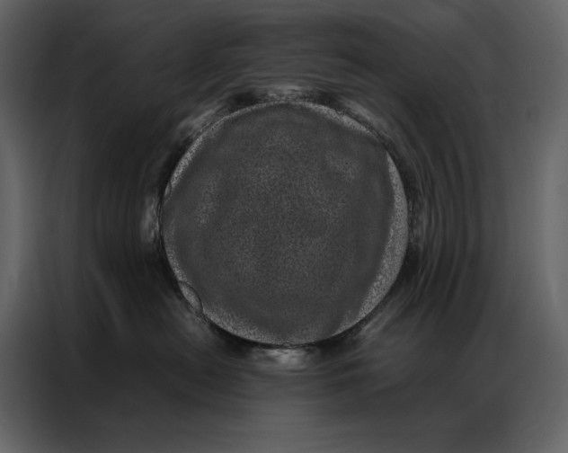 X0000086970478200705071400