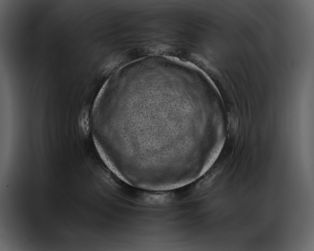 X0000086970479200705071400