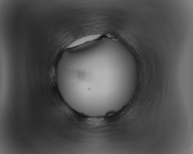 X0000086970480200705071400