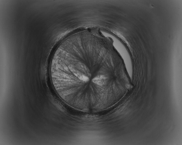 X0000086970487200705071400