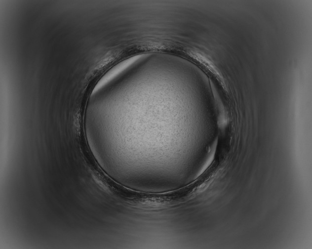 X0000086970489200705071400