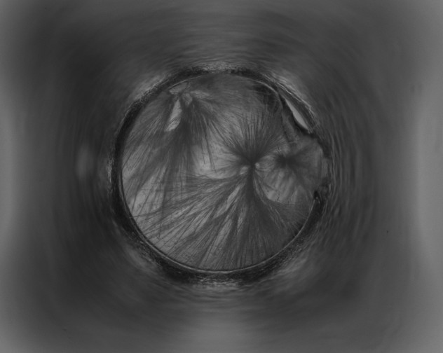 X0000086970491200705071400