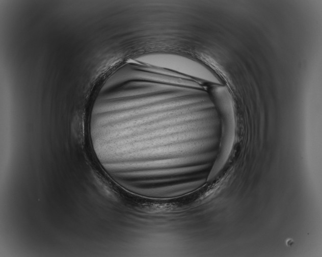 X0000086970493200705071400